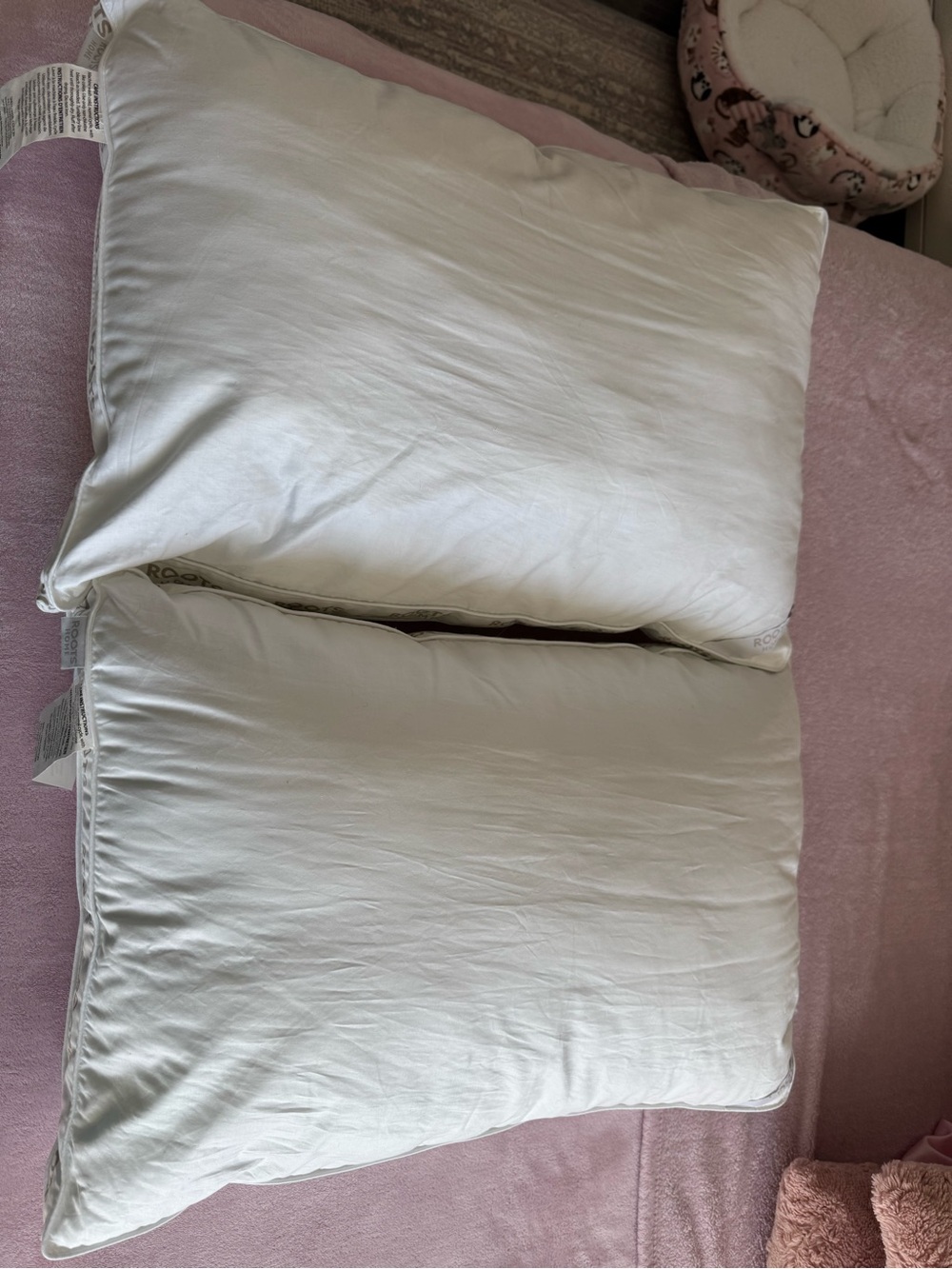 Roots Home Queen/Standard 2 plush down pillows, BRAND NEW - Picture 3 of 3